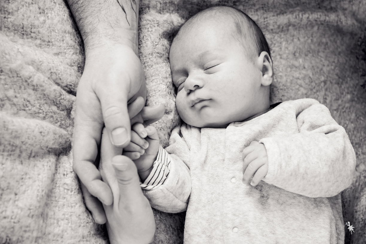 edwina-issaly-photographe-famille-grossesse-nouveaux nés